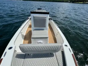 Thumbnail von Dragonfly 21 Spanish Well