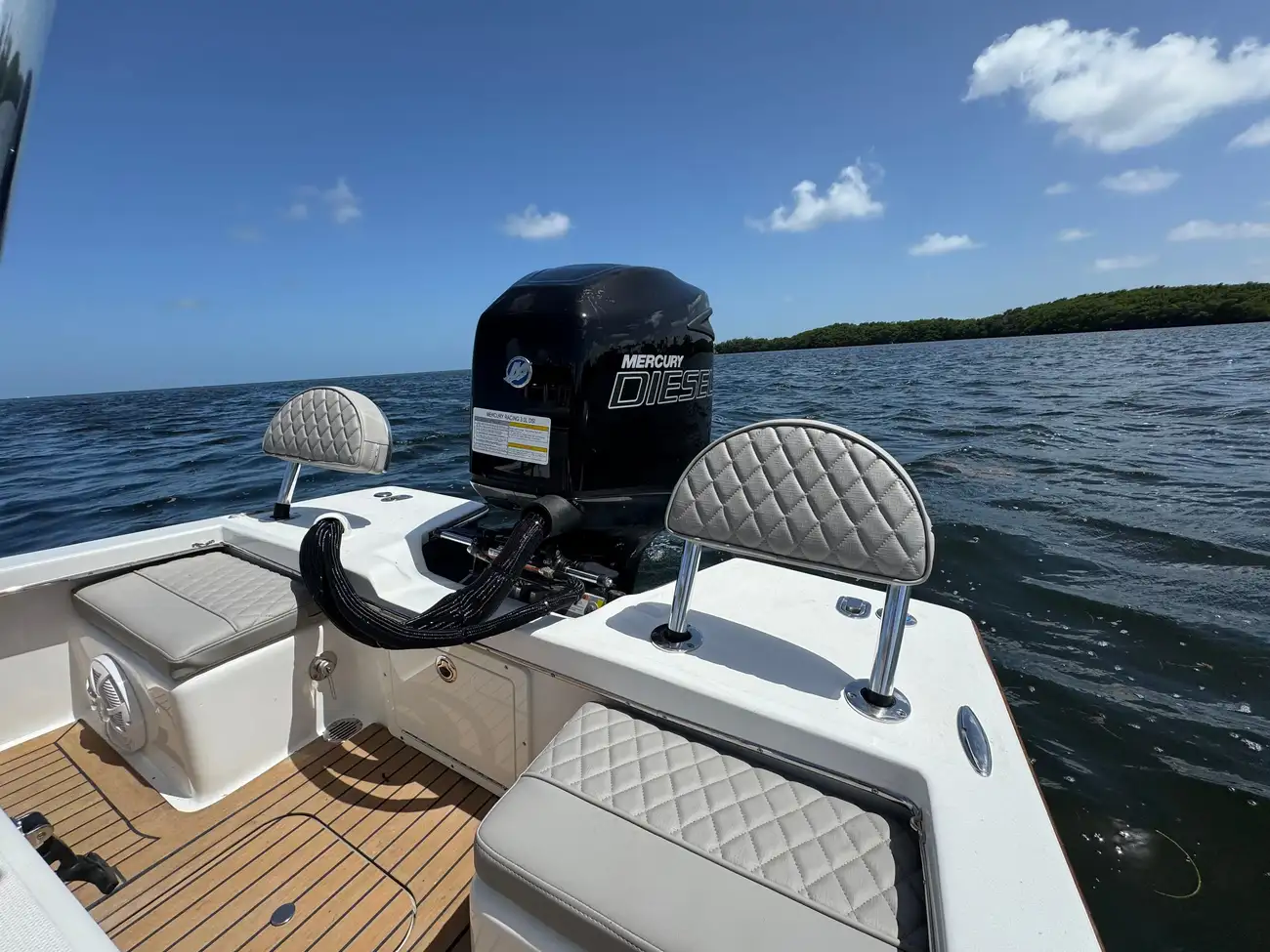 Thumbnail von Dragonfly 21 Spanish Well