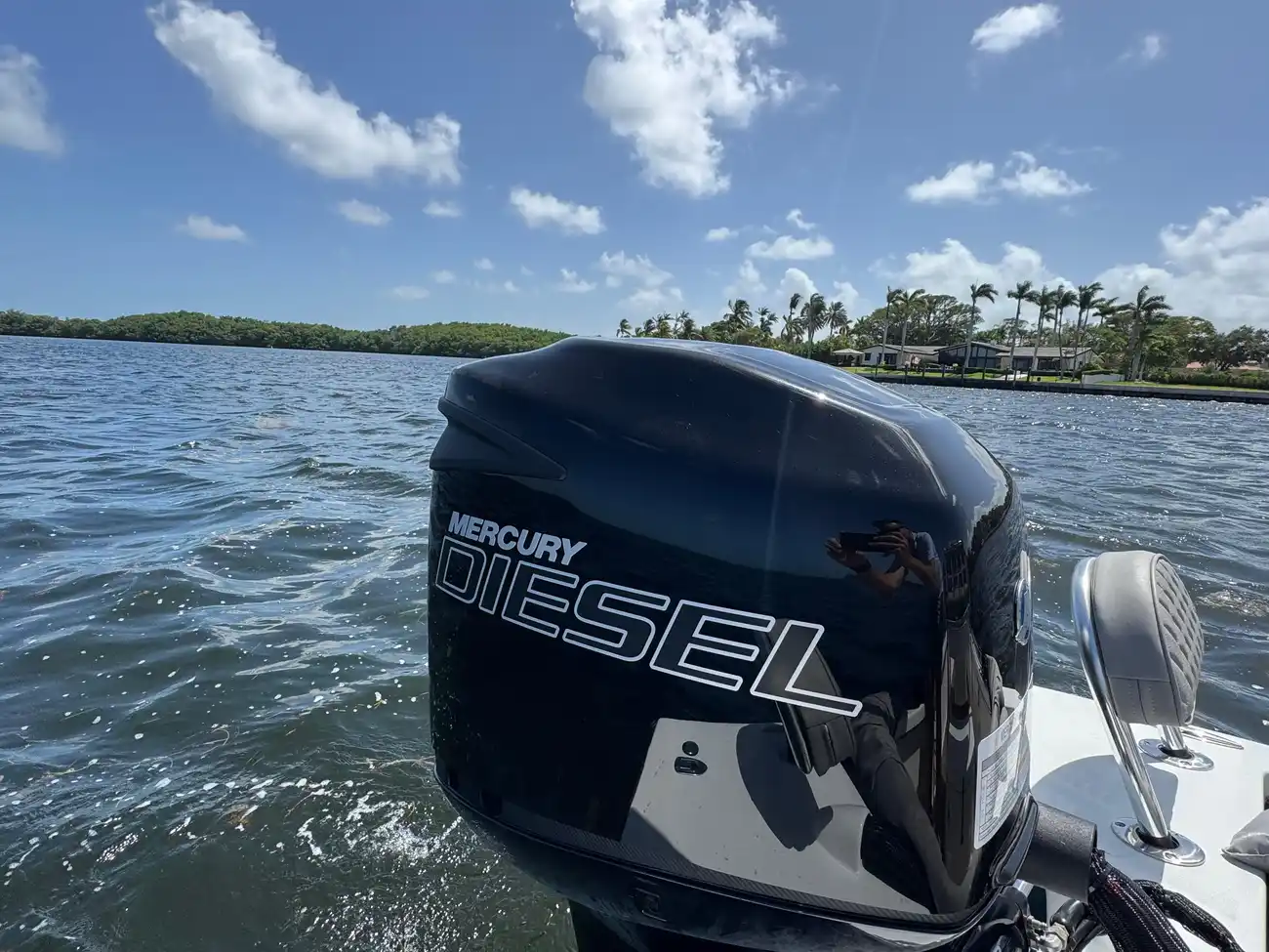 Thumbnail von Dragonfly 21 Spanish Well