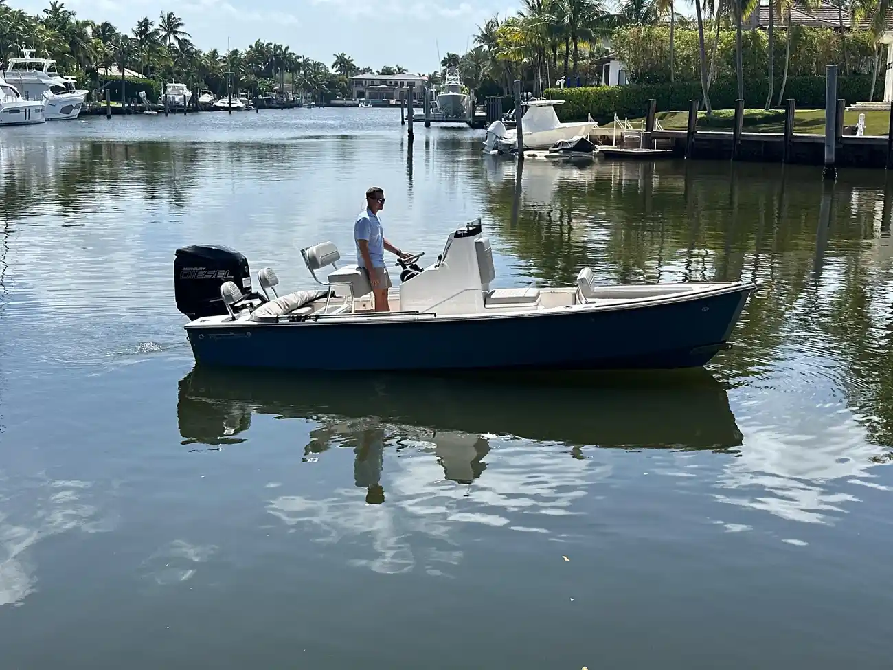 Thumbnail von Dragonfly 21 Spanish Well