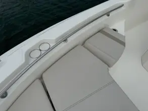 Thumbnail von Boston Whaler 250 Dauntless