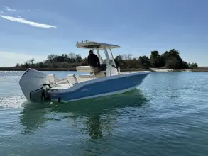 Thumbnail von Boston Whaler 250 Dauntless