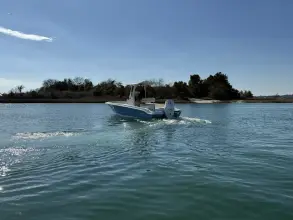 Thumbnail von Boston Whaler 250 Dauntless