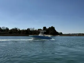 Thumbnail von Boston Whaler 250 Dauntless