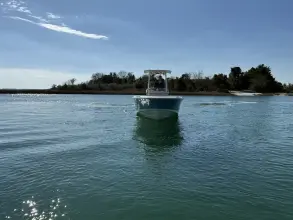 Thumbnail von Boston Whaler 250 Dauntless