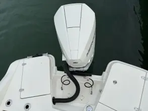 Thumbnail von Boston Whaler 250 Dauntless