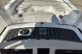 Thumbnail von Boston Whaler 250 Dauntless