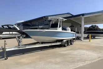 Thumbnail von Boston Whaler 250 Dauntless