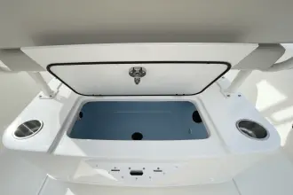 Thumbnail von Boston Whaler 220 Dauntless