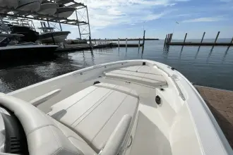 Thumbnail von Boston Whaler 220 Dauntless