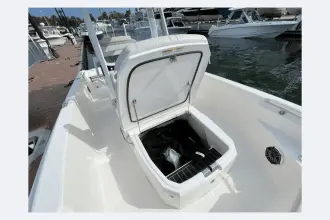 Thumbnail von Boston Whaler 220 Dauntless