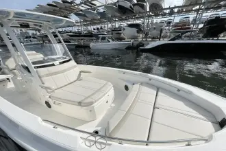 Thumbnail von Boston Whaler 220 Dauntless