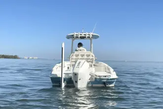 Thumbnail von Boston Whaler 220 Dauntless