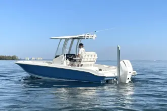 Thumbnail von Boston Whaler 220 Dauntless