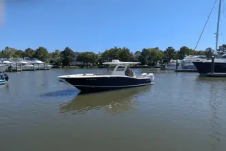 Thumbnail von Scout 300 LXF