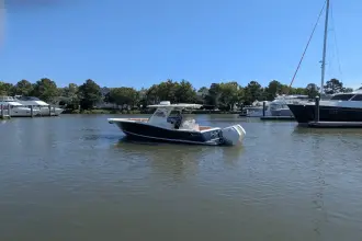 Thumbnail von Scout 300 LXF