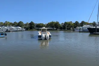 Thumbnail von Scout 300 LXF