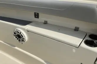 Thumbnail von Scout 425 LXF