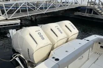 Thumbnail von Scout 425 LXF