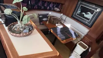 Thumbnail von Viking 44 The Briar Patch