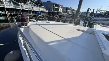 Thumbnail von Viking 44 The Briar Patch