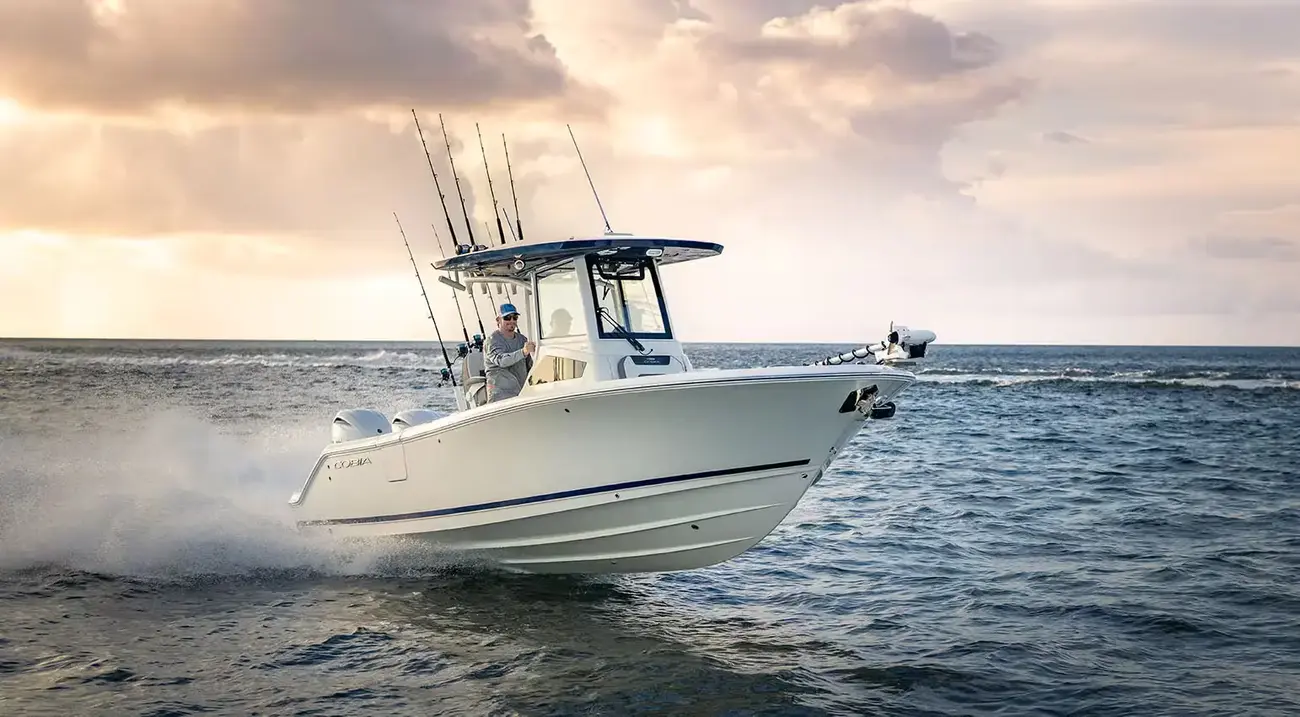 Cobia 245 CC