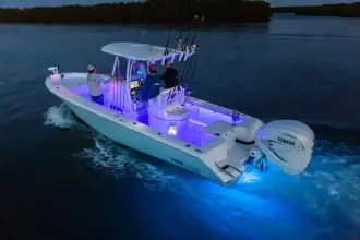 Thumbnail von Pathfinder 2700 Open