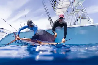 Thumbnail von Pathfinder 2700 Open