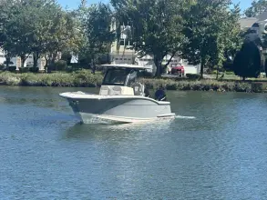 Thumbnail von Scout 280 Sportfish