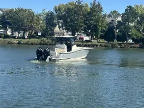 Thumbnail von Scout 280 Sportfish