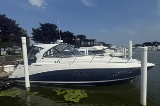 Thumbnail von Rinker 360 Express Cruiser