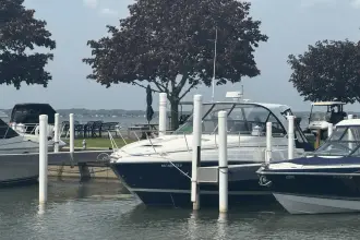 Thumbnail von Rinker 360 Express Cruiser