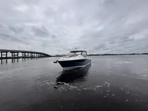 Thumbnail von Boston Whaler 365 Conquest