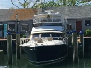 Thumbnail von Viking 45 Convertible ARETE