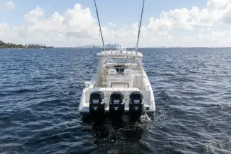 Thumbnail von Everglades 350 LX