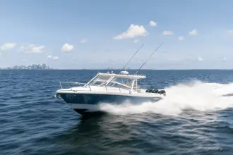 Thumbnail von Everglades 350 LX