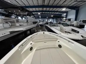 Thumbnail von Boston Whaler 220 Dauntless