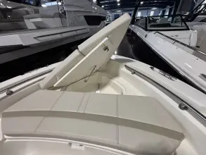 Thumbnail von Boston Whaler 220 Dauntless