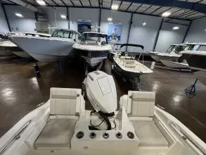 Thumbnail von Boston Whaler 220 Dauntless