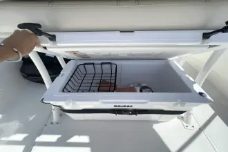 Thumbnail von Boston Whaler 220 Dauntless