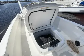 Thumbnail von Boston Whaler 220 Dauntless