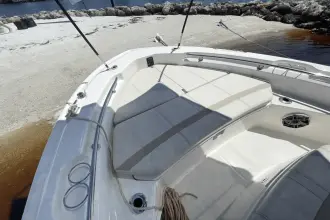 Thumbnail von Boston Whaler 220 Dauntless
