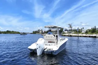 Thumbnail von Boston Whaler 220 Dauntless