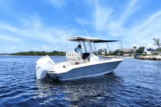Thumbnail von Boston Whaler 220 Dauntless