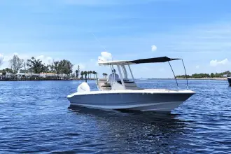 Thumbnail von Boston Whaler 220 Dauntless
