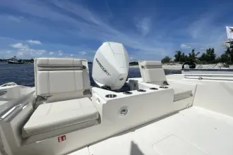 Thumbnail von Boston Whaler 220 Dauntless
