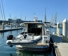 Thumbnail von Nimbus 365 Coupe Kala