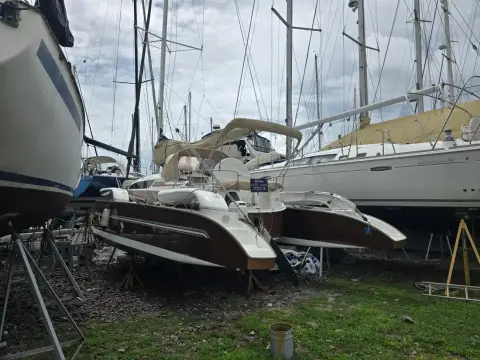 Dragonfly 32 Swing Wing Supreme SV Libellula