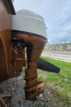 Thumbnail von Dragonfly 32 Swing Wing Supreme SV Libellula