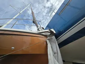 Thumbnail von Dragonfly 32 Swing Wing Supreme SV Libellula